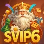 IDSVIP6 Logo